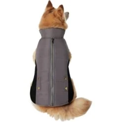 Frisco Mediumweight Faux Zipper Dog & Cat Jacket -Pet Cat Shop 353817 PT2. AC SS1800 V1659010334