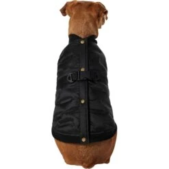 Frisco Lightweight Belted Puffer Dog & Cat Jacket -Pet Cat Shop 353825 PT2. AC SS1800 V1659010815