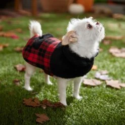 Frisco Mediumweight Plaid Faux Fur Dog & Cat Jacket -Pet Cat Shop 353847 PT7. AC SS1800 V1661274842
