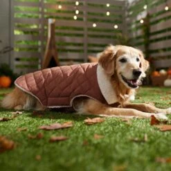 Frisco Mid-Heavyweight Fleece Lined Quilted Dog & Cat Coat -Pet Cat Shop 353877 PT7. AC SS1800 V1660750171