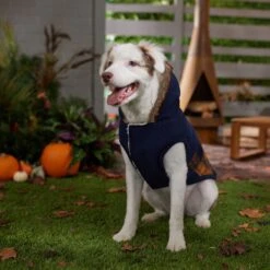 Frisco Mid-Heavyweight Plaid Fleece Lined Dog & Cat Coat -Pet Cat Shop 353885 PT7. AC SS1800 V1660749836