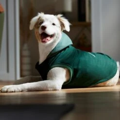 Frisco Lightweight Classic Dog & Cat Coat -Pet Cat Shop 353901 PT7. AC SS1800 V1660749440