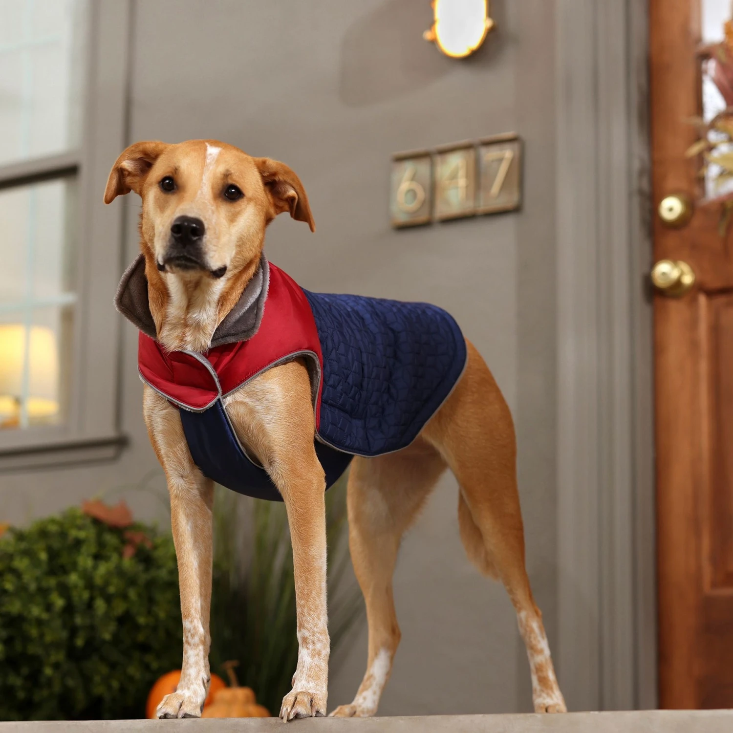 Frisco Mediumweight Cubed Dog & Cat Coat 7 Frisco Mediumweight Cubed Dog & Cat Coat - Image 7