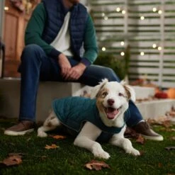 Frisco Mediumweight Reversible Dog & Cat Coat 14 Frisco Mediumweight Reversible Dog & Cat Coat -Pet Cat Shop 353932 PT7. AC SS1800 V1660749442