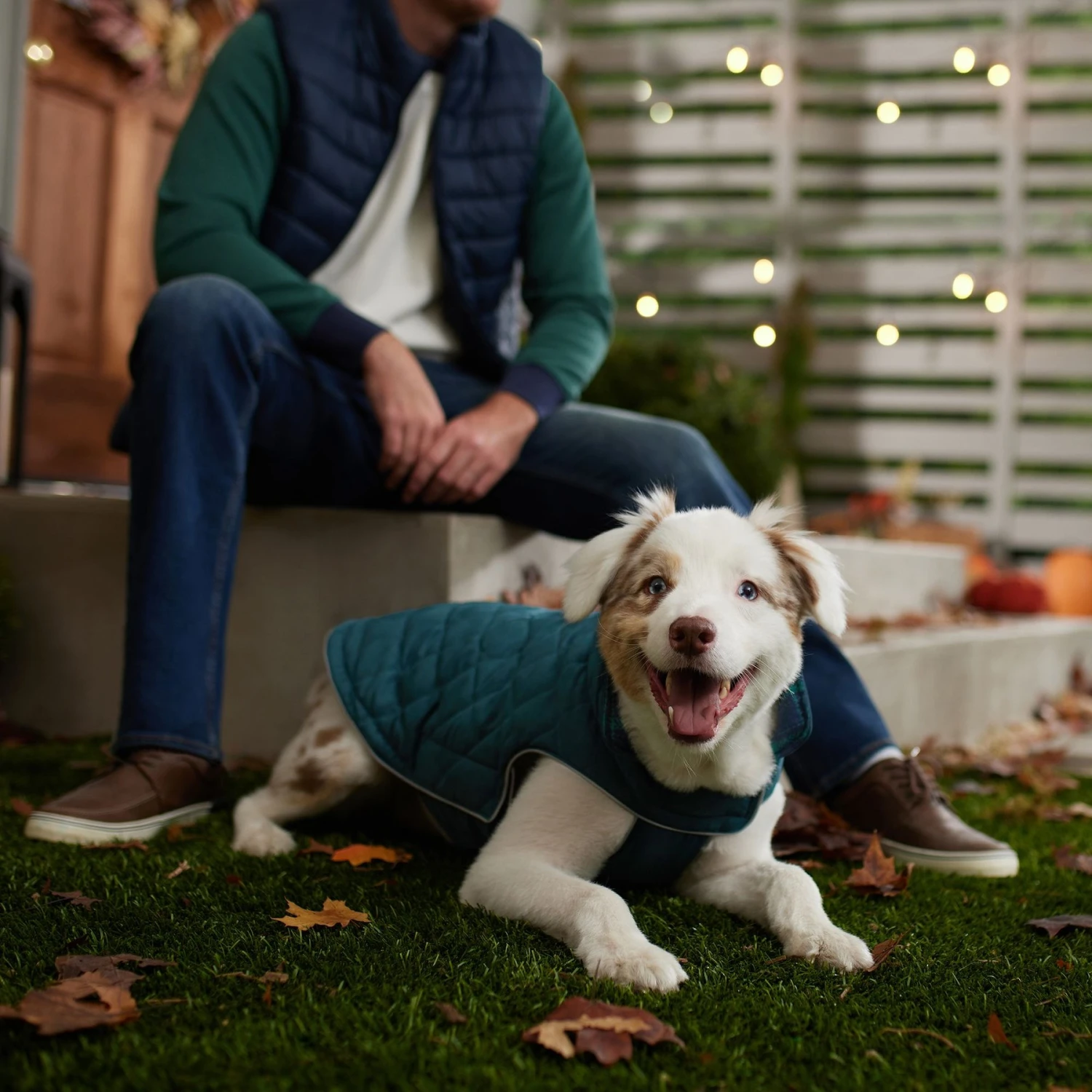 Frisco Mediumweight Reversible Dog & Cat Coat 7 Frisco Mediumweight Reversible Dog & Cat Coat - Image 7