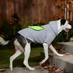Frisco Dog & Cat Hoodie With Removable Fanny Pack -Pet Cat Shop 353965 PT7. AC SS1800 V1660749475