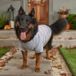 Frisco Pink Tie Dye Dog & Cat Hoodie -Pet Cat Shop 353981 PT7. AC SS1800 V1660749835