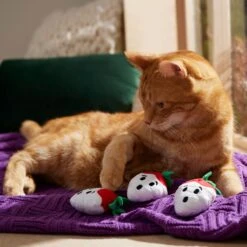 Frisco Halloween Ghost Strawberries Plush Cat Toy With Catnip, 3 Count 6 Frisco Halloween Ghost Strawberries Plush Cat Toy With Catnip, 3 Count -Pet Cat Shop 354127 PT3. AC SS1800 V1657657123