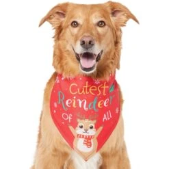 Frisco Cutest Reindeer Of All Dog & Cat Bandana -Pet Cat Shop 357931 PT2. AC SS1800 V1660756046