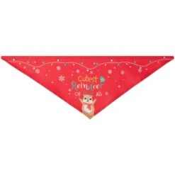 Frisco Cutest Reindeer Of All Dog & Cat Bandana -Pet Cat Shop 357931 PT5. AC SS1800 V1660756046