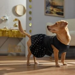 Frisco Kiss Me At Midnight Dog & Cat Dress -Pet Cat Shop 358044 PT7. AC SS1800 V1661799831