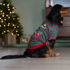 Frisco Naughty, Nice, I Tried Dog & Cat T-Shirt -Pet Cat Shop 358301 PT7. AC SS1800 V1661797473