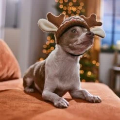 Frisco Antler Fair Isle Dog & Cat Hat -Pet Cat Shop 358313 PT4. AC SS1800 V1661798696