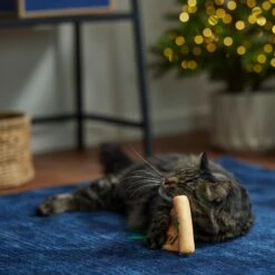 Frisco Holiday Santa's List Plush & Feather Cat Toy With Catnip 6 Frisco Holiday Santa's List Plush & Feather Cat Toy With Catnip -Pet Cat Shop 360895 PT3. AC SS1800 V1661874361