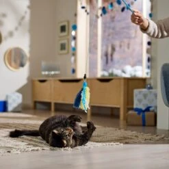 Frisco Hanukkah Interchangeable Teaser Wand Cat Toy With Catnip 6 Frisco Hanukkah Interchangeable Teaser Wand Cat Toy With Catnip -Pet Cat Shop 360911 PT3. AC SS1800 V1661890134