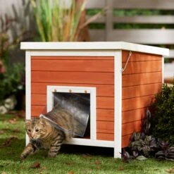 Frisco Outdoor Wooden Cat House With Retractable Roof