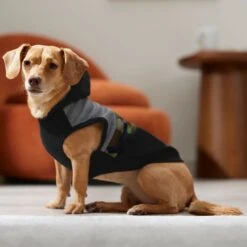 Frisco Army Camo Dog & Cat Hoodie -Pet Cat Shop 368774 PT7. AC SS1800 V1664994217