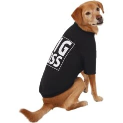 Frisco Big Boss Dog & Cat T-Shirt -Pet Cat Shop 368782 PT4. AC SS1800 V1669100910