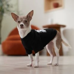 Frisco Big Boss Dog & Cat T-Shirt -Pet Cat Shop 368782 PT7. AC SS1800 V1664992675