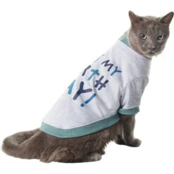 Frisco It's My Birth Day Dog & Cat T-Shirt -Pet Cat Shop 368808 PT2. AC SS1800 V1669100848