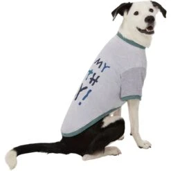 Frisco It's My Birth Day Dog & Cat T-Shirt -Pet Cat Shop 368808 PT4. AC SS1800 V1669101517