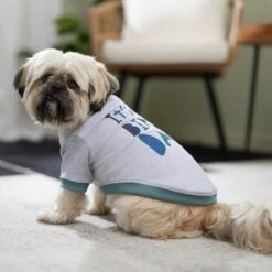 Frisco It's My Birth Day Dog & Cat T-Shirt -Pet Cat Shop 368808 PT7. AC SS1800 V1664992107