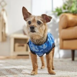 Frisco Tie-Dye Dog & Cat T-Shirt -Pet Cat Shop 368816 PT7. AC SS1800 V1664994331