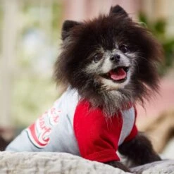 Frisco Mama's Sweetheart Dog & Cat T-Shirt -Pet Cat Shop 371063 PT7. AC SS1800 V1701796982