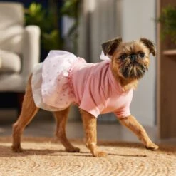 Frisco Tulle Hearts Dog & Cat Dress -Pet Cat Shop 371070 PT8. AC SS1800 V1700690505