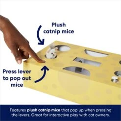 Frisco Cheese Interactive Maze Cardboard Cat Toy Box With Catnip 9 Frisco Cheese Interactive Maze Cardboard Cat Toy Box With Catnip -Pet Cat Shop 506106 PT3. AC SS1800 V1671551754