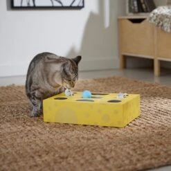 Frisco Cheese Interactive Maze Cardboard Cat Toy Box With Catnip 10 Frisco Cheese Interactive Maze Cardboard Cat Toy Box With Catnip -Pet Cat Shop 506106 PT4. AC SS1800 V1669148185