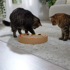 Frisco Interactive Maze & Scratch Cardboard Cat Toy With Catnip, Pizza -Pet Cat Shop 506154 PT4. AC SS1800 V1669148129