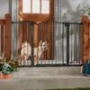 Frisco Outdoor Steel Arch Extra Wide Auto-Close Dog Gate