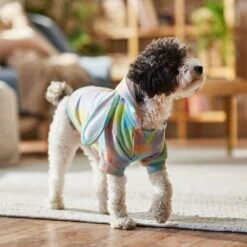 Frisco Wash Effect Bunny Ear Hoodie -Pet Cat Shop 521374 PT7. AC SS1800 V1699653757