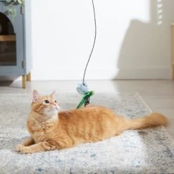 Frisco Leaf & Dragonfly Interchangeable Teaser Wand Cat Toy With Catnip 6 Frisco Leaf & Dragonfly Interchangeable Teaser Wand Cat Toy With Catnip -Pet Cat Shop 525982 PT3. AC SS1800 V1669148131