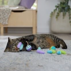 Frisco Fabric & Play Plastic Balls Cat Toy -Pet Cat Shop 526030 PT3. AC SS1800 V1669148132