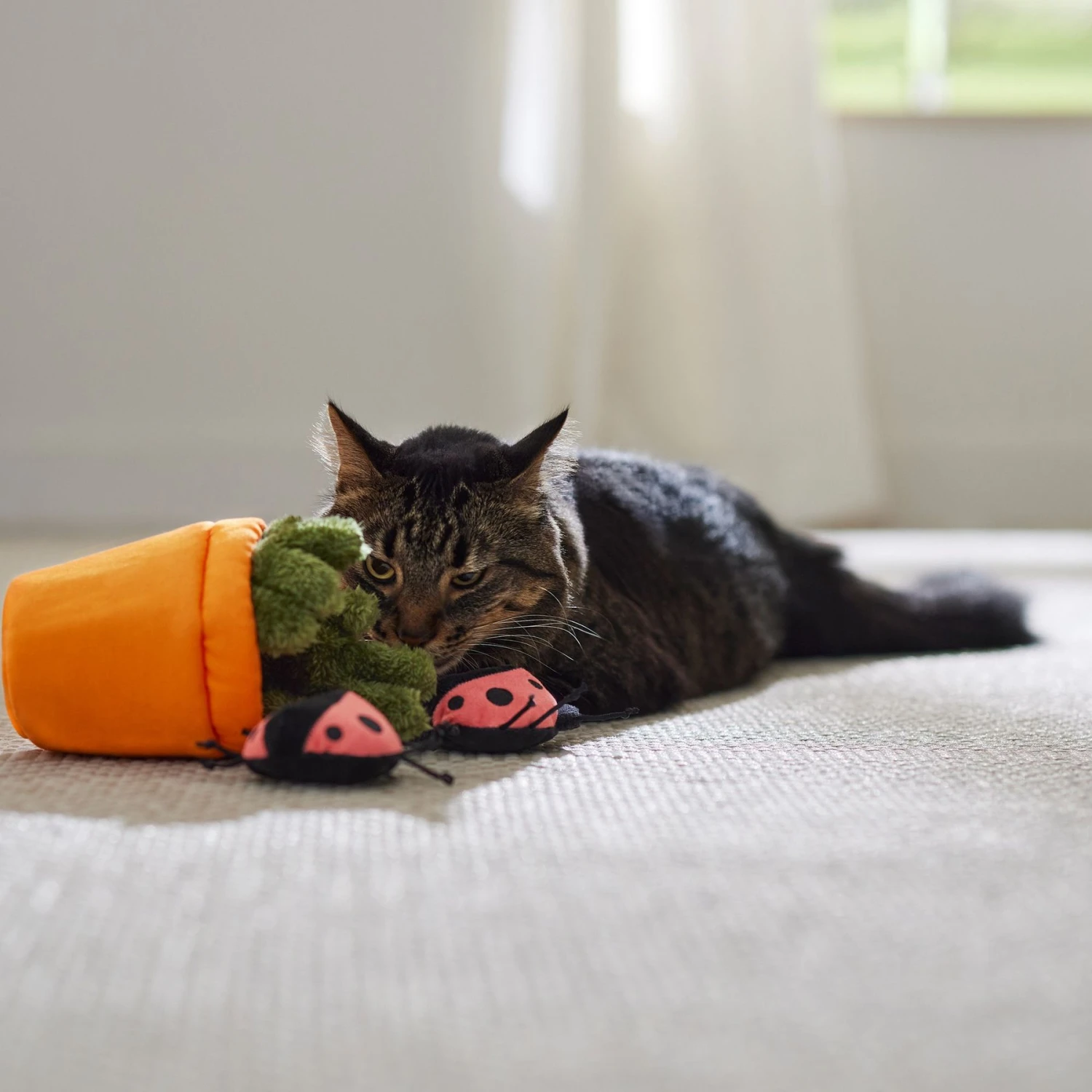 Frisco Spring Potted Plant And Ladybugs Interactive Plush Cat Toy With Catnip 4 Frisco Spring Potted Plant And Ladybugs Interactive Plush Cat Toy With Catnip - Image 4