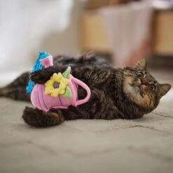 Frisco Spring Watering Can Plush Cat Toy With Catnip -Pet Cat Shop 541558 PT3. AC SS1800 V1671814448