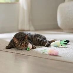 Frisco Easter Carrot Plush Cat Toy With Catnip -Pet Cat Shop 550470 PT4. AC SS1800 V1702500564