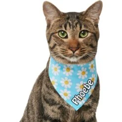 Frisco Personalized Blue Daisy Bandana -Pet Cat Shop 555206 PT6. AC SS1800 V1669839922