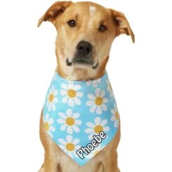 Frisco Personalized Blue Daisy Bandana -Pet Cat Shop 555206 PT7. AC SS1800 V1669839925