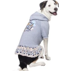 Frisco Stay Wild Dog & Cat Hoodie -Pet Cat Shop 555366 PT3. AC SS1800 V1674829142