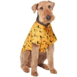 Frisco Safari Zebra Dog & Cat Shirt -Pet Cat Shop 555566 PT3. AC SS1800 V1675103172