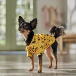 Frisco Safari Zebra Dog & Cat Shirt -Pet Cat Shop 555566 PT7. AC SS1800 V1675099388