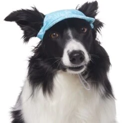 Frisco Blue Ocean Waves 30 + UPF Dog & Cat Beach Cap 10 Frisco Blue Ocean Waves 30 + UPF Dog & Cat Beach Cap -Pet Cat Shop 556182 PT3. AC SS1800 V1677530963
