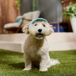 Frisco Blue Ocean Waves 30 + UPF Dog & Cat Beach Cap 12 Frisco Blue Ocean Waves 30 + UPF Dog & Cat Beach Cap -Pet Cat Shop 556182 PT5. AC SS1800 V1675714092