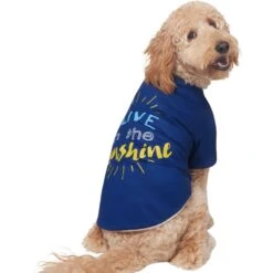 Frisco I Live In The Sunshine Dog & Cat T-Shirt -Pet Cat Shop 556222 PT3. AC SS1800 V1674829145