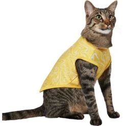 Frisco 30+ UPF Dog & Cat Beach Rash Guard -Pet Cat Shop 556286 PT3. AC SS1800 V1675714033