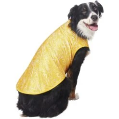Frisco 30+ UPF Dog & Cat Beach Rash Guard -Pet Cat Shop 556286 PT4. AC SS1800 V1675713977