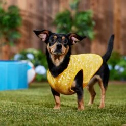 Frisco 30+ UPF Dog & Cat Beach Rash Guard -Pet Cat Shop 556286 PT6. AC SS1800 V1675714036